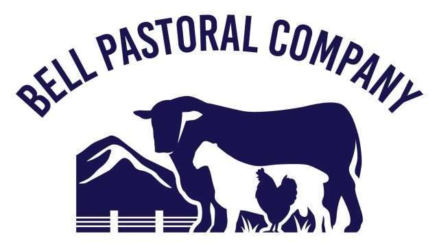 387827737_654307070150061_8150928759738083078_n